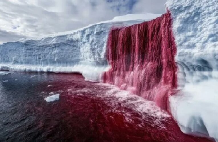 Journée d’étude – Aux frontières de la sociologie